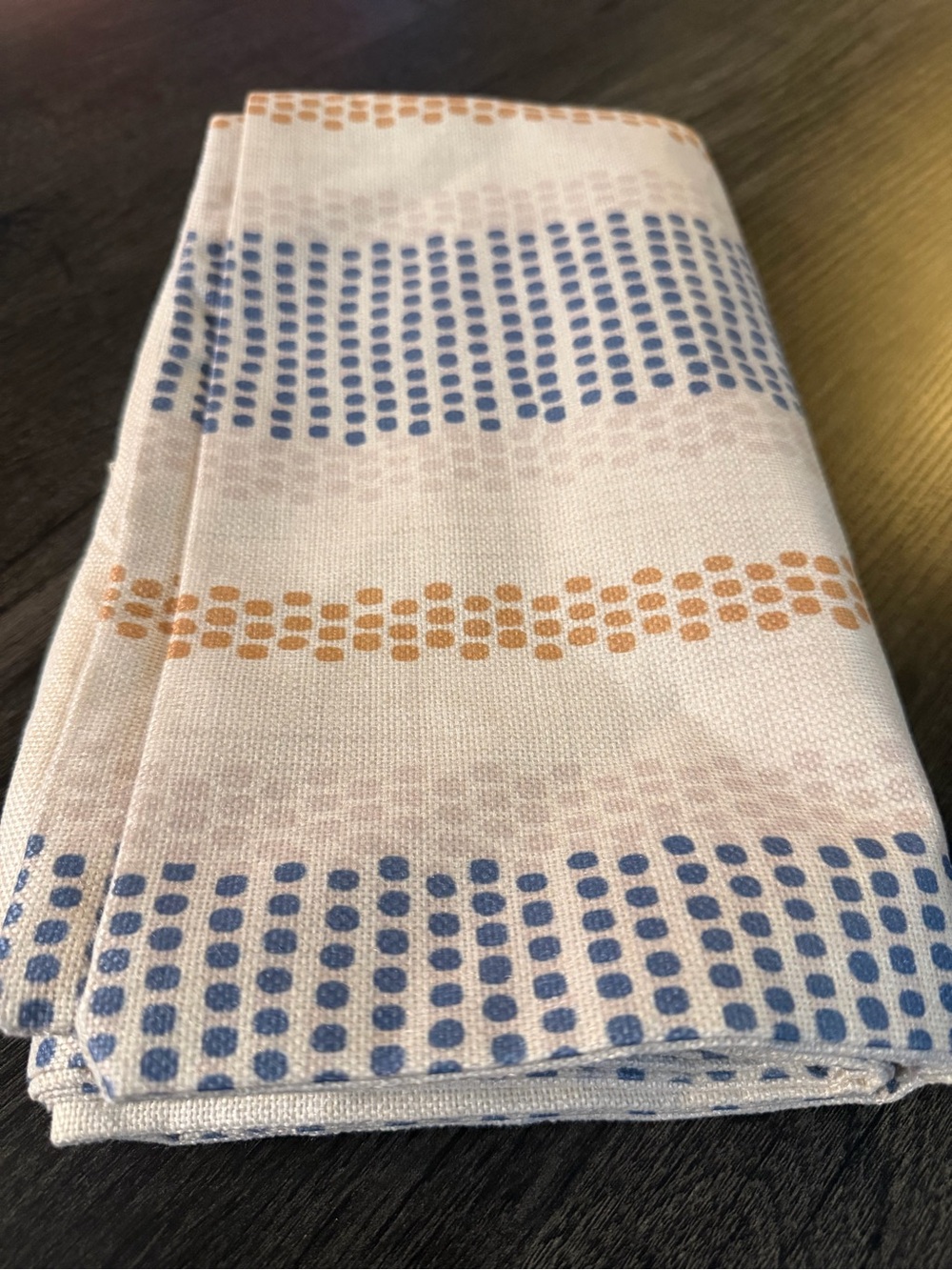 Blue and Burnt Orange Dot Striped Pillow Covers (2)